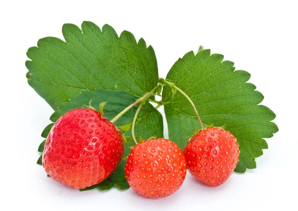 Süße Erdbeeren mit Blättern — Stockfoto