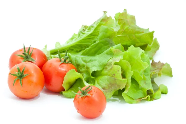 Fresh tomatoes and lettuce — Stock Photo, Image