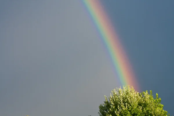 Arcobaleno nel cielo blu — Foto Stock