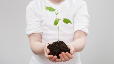 Bir filiz tutan kız