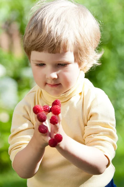 Niedliches kleines Mädchen mit Himbeeren — Stockfoto