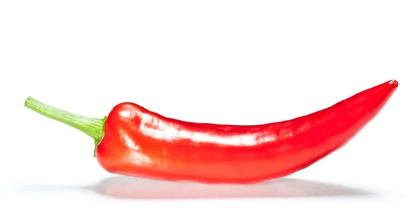 Röd chili peppar med skugga — Stockfoto