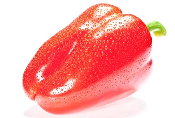 Red sweet pepper — Stock Photo, Image