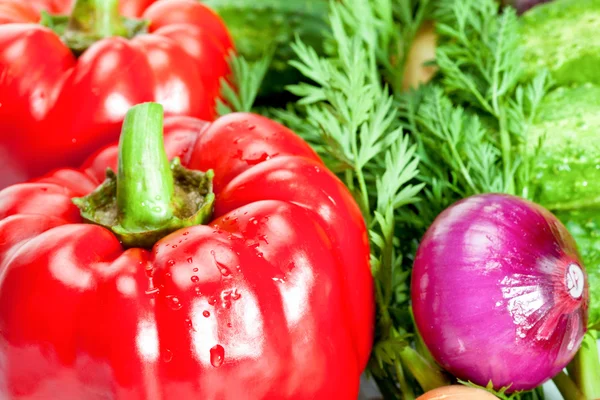 Peppers, carrot and onion — Stock Photo, Image