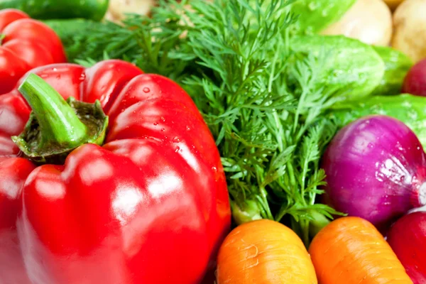 Biber, soğan, salatalık, patates ve havuç