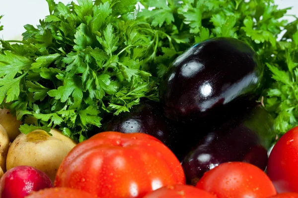 Yaz sebze çeşitler