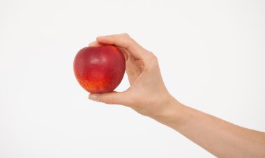 Bir kuru soğan tutan el