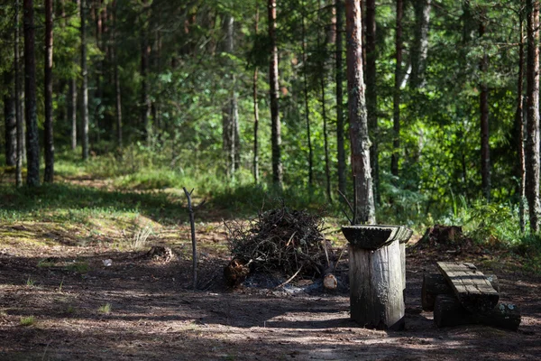 Bench and a campfire in forest — Stock Photo, Image