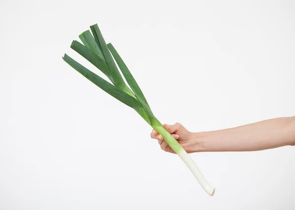 Hand holding a leek — Stock Photo, Image