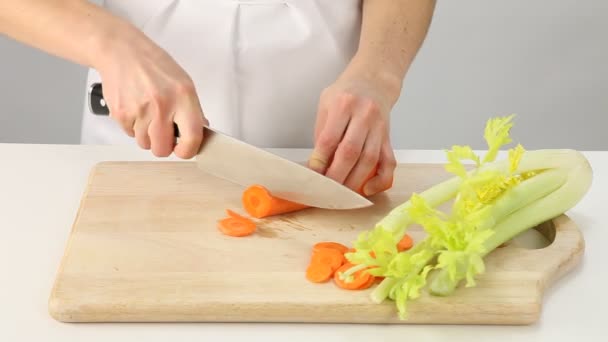 Mains des femmes et préparation de salade — Video