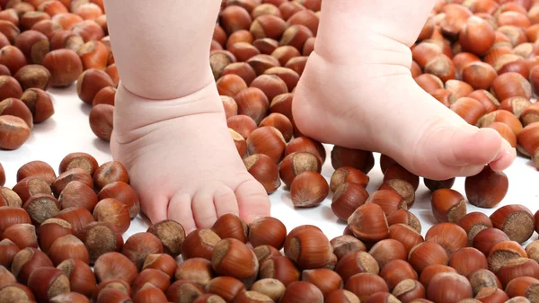 Baby fötter på hasselnötter — Stockfoto