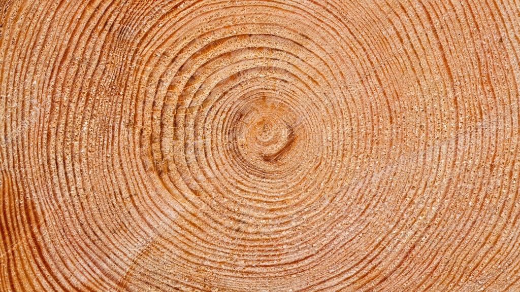 Bạn có thể không thể đếm được số khúc gỗ trên trái đất, nhưng những khúc gỗ được làm thành những tác phẩm nghệ thuật đẹp mắt sẽ dẫn bạn đến vô vàn kỳ quan thiên nhiên của trái đất.