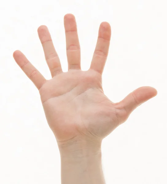 Lidská ruka na bílém — Stock fotografie