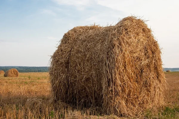 Haystacks őszi mező — Stock Fotó