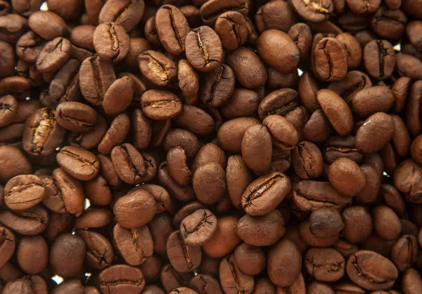 Granos de café aromáticos — Foto de Stock