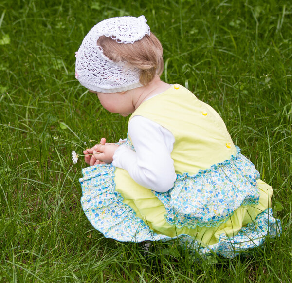 Beautiful little girl picking camomiles