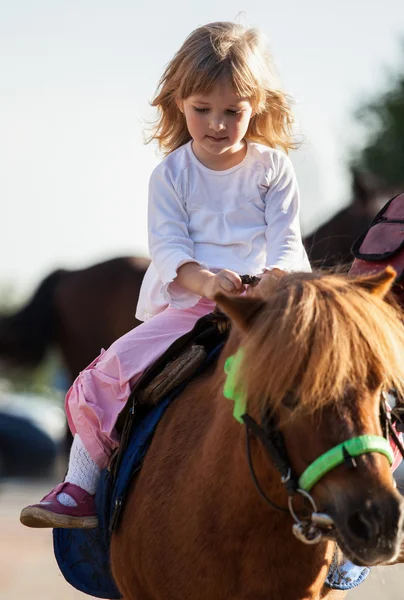 Little girl  on a pony — Stock Photo, Image