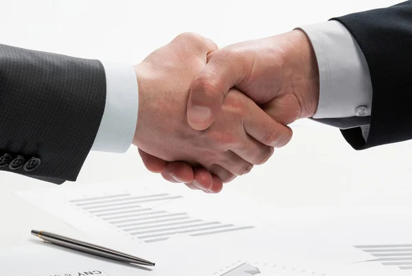 Zakenlieden collega's Handshaking — Stockfoto