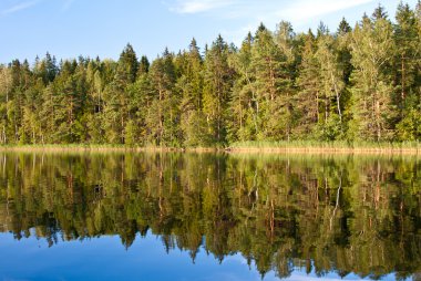 Güzel göl manzarası