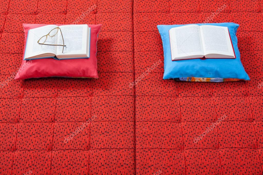 对枕头和红色背景上的书– 图库图片