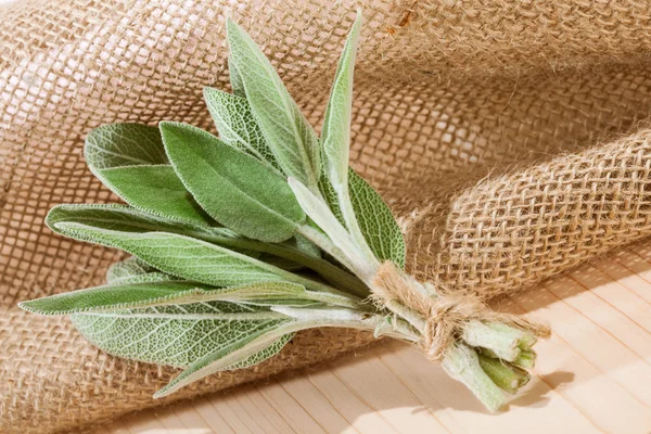 Bunch of sage leaves — Stock Photo, Image