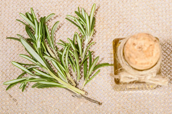 Fresh rosemary and a bottle of oil — Stock Photo, Image