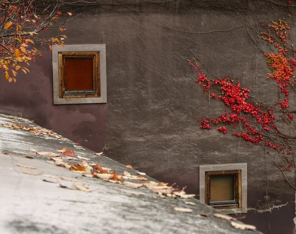 Antiguo muro con hojas de otoño —  Fotos de Stock