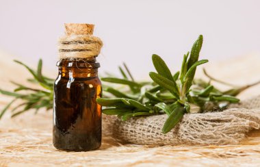 Fresh rosemary and a bottle of essential oil clipart