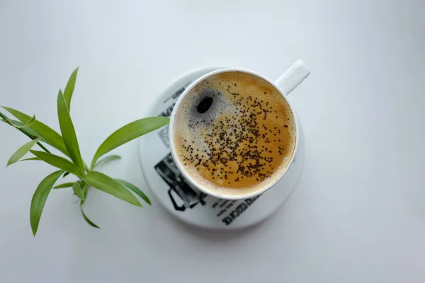 Americano coffee with froth, sprinkle with poppy seeds on top. Chlorophytum plant.