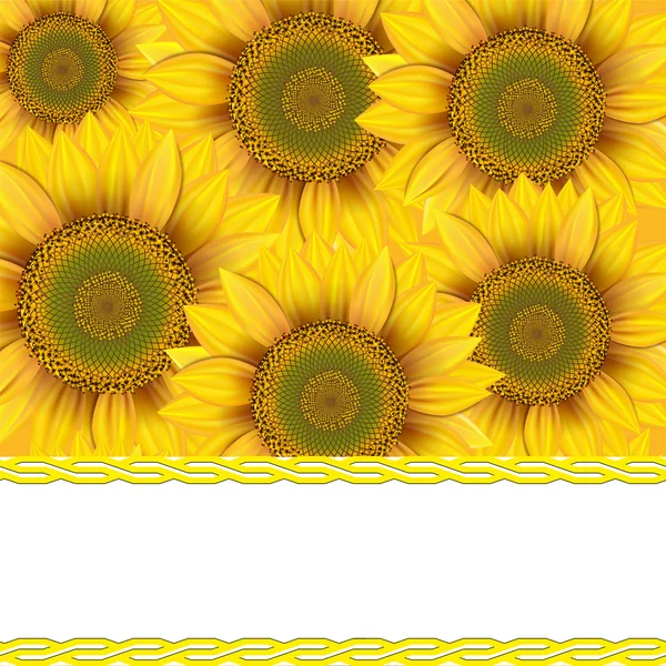 Contexte des tournesols — Image vectorielle