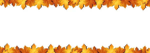 Οριζόντια πανό του Φθινοπωρινά φύλλα — Διανυσματικό Αρχείο