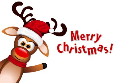 Beyaz arka plan üzerinde komik Ren geyiği.