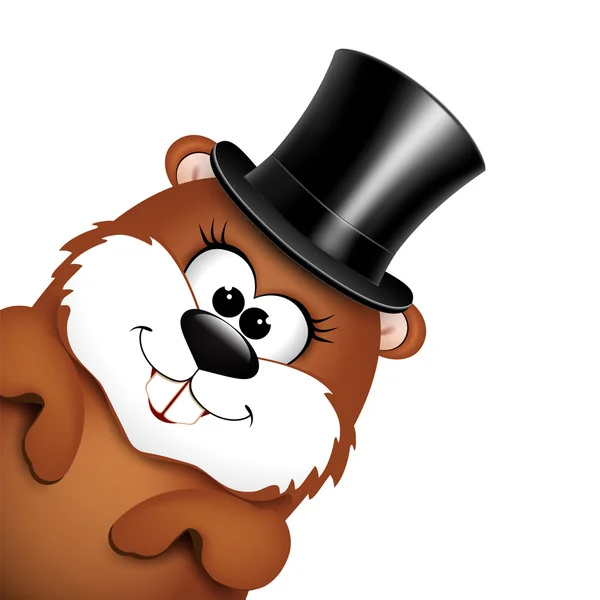 Marmota divertida en sombrero sobre un fondo blanco — Vector de stock