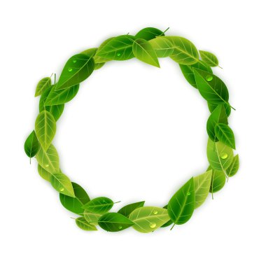 Dekoratif çerçeve yeşil yaprakları