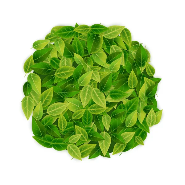 Zielone liście transparent tło — Wektor stockowy