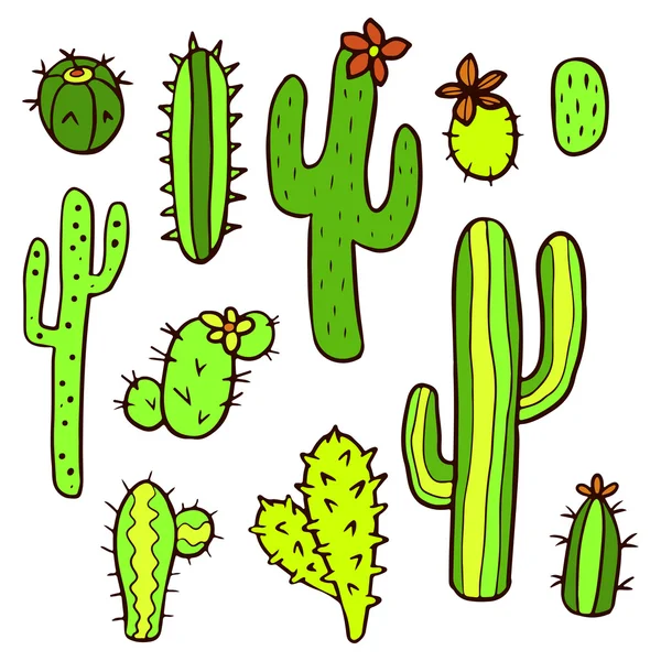 Handgezeichnete Kaktuspflanzen — Stockvektor