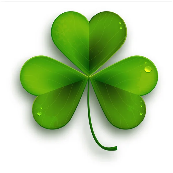 Realistisches Shamrock-Blatt — Stockvektor