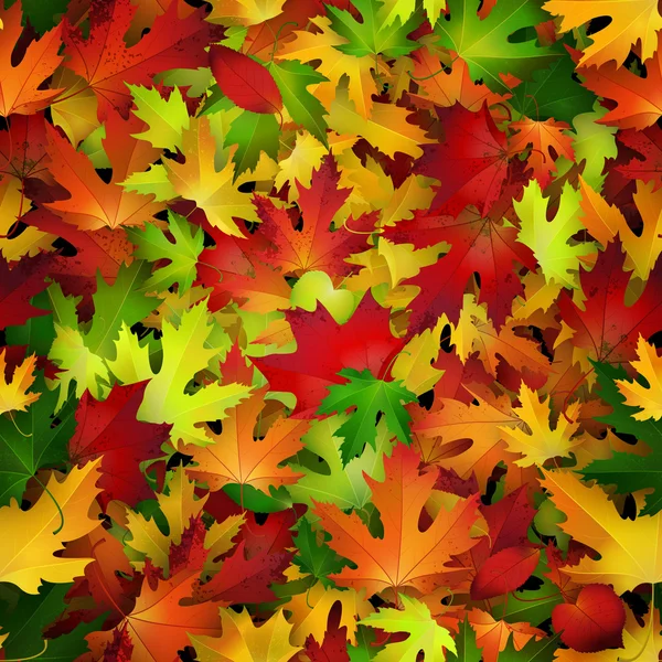 Feuilles colorées fond — Image vectorielle