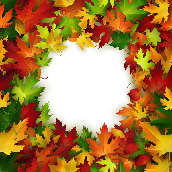 Frame design met kleurrijke herfst bladeren — Stockvector