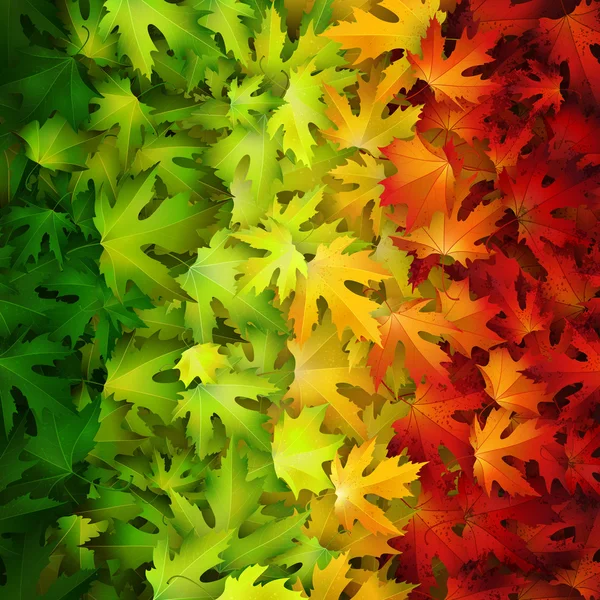 Renkli sonbahar yaprakları arkaplanı — Stok Vektör