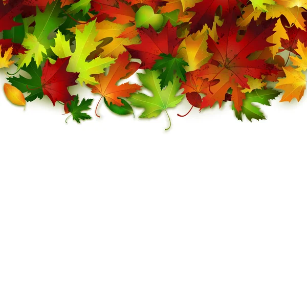 Fondo colorido de hojas de otoño — Vector de stock