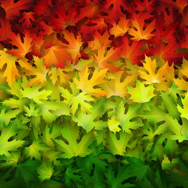 Bunte Herbst Blätter Hintergrund — Stockvektor