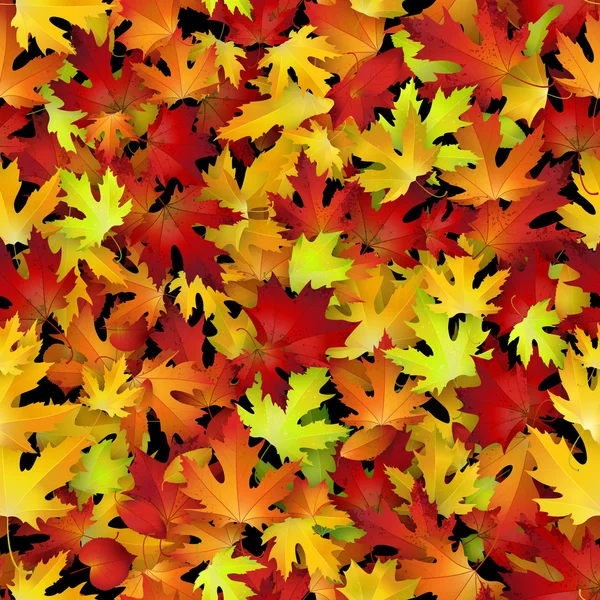 Naturalny wzór z liści jesienią — Wektor stockowy