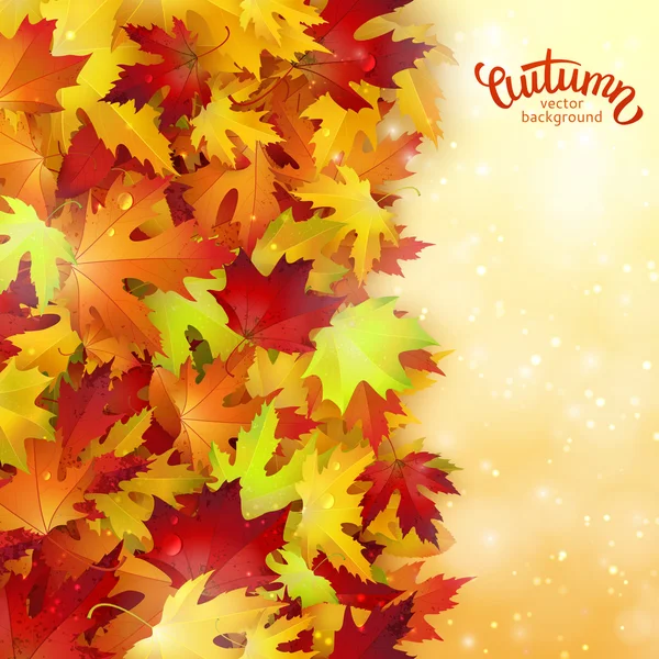 Foglie colorate autunno — Vettoriale Stock