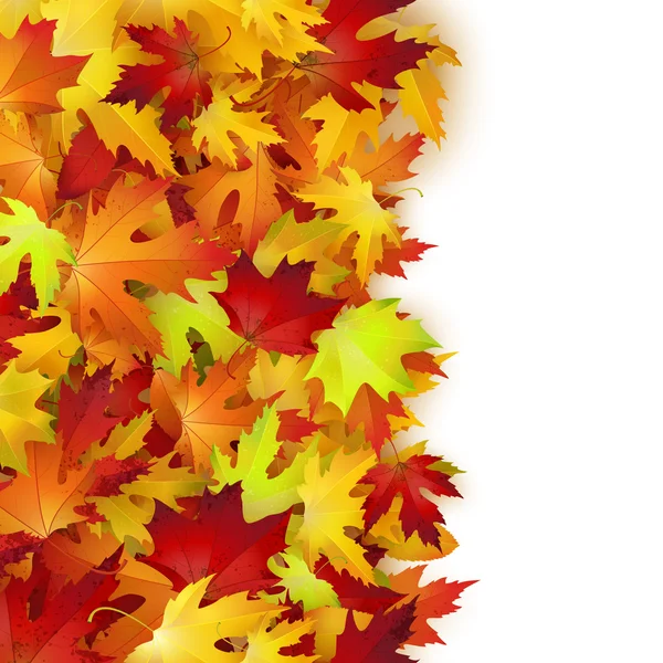 Tło z kolorowych liści jesienią — Wektor stockowy