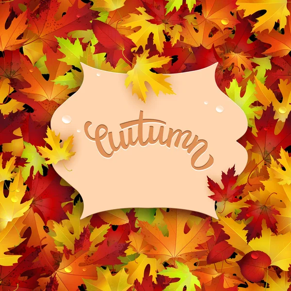 Feuilles d'automne colorées — Image vectorielle
