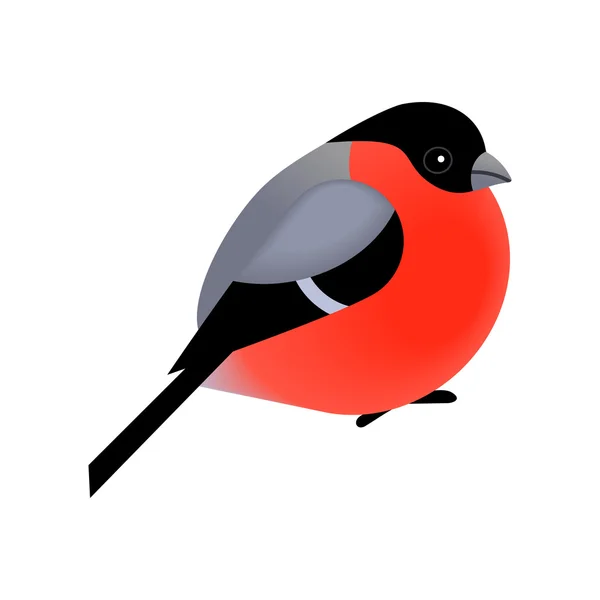可爱的红腹灰雀的鸟 — 图库矢量图片