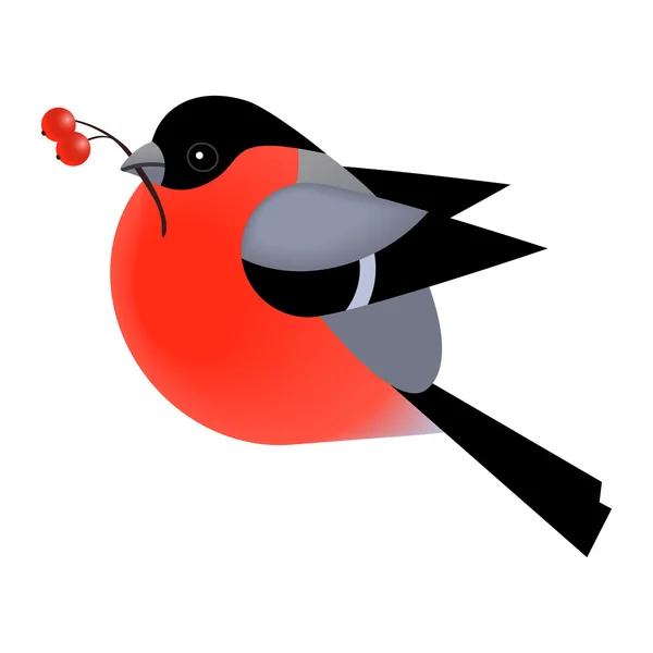 可爱的红腹灰雀的鸟 — 图库矢量图片
