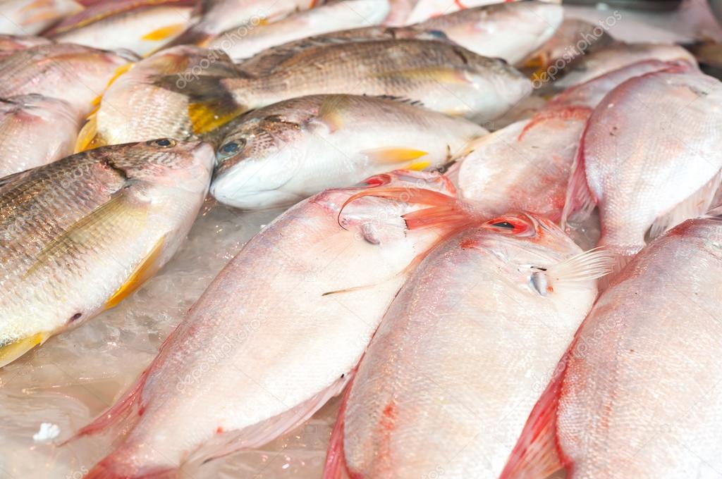 Fresh red snapper on sale at local fish market