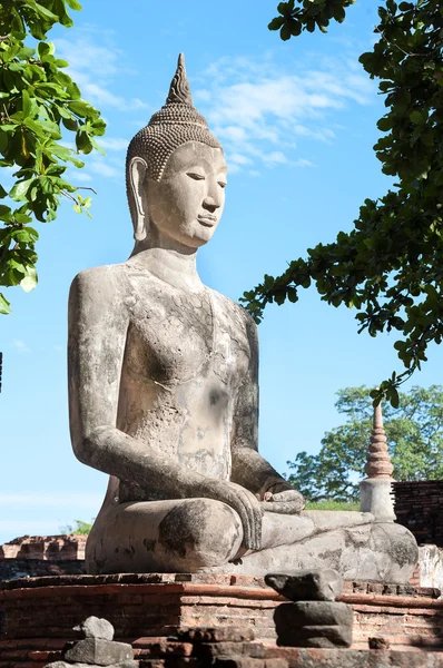 Große steinerne Buddha-Statue am wat mahathat, Ayutthaya, Thailand — Stockfoto